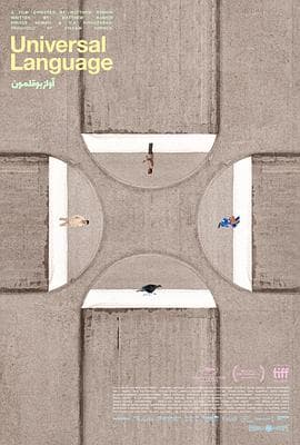 共同的语言 - 剧情片 (2024) 海报