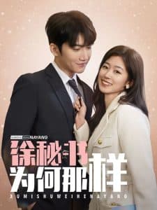 徐秘书为何那样 - 女频恋爱 (2025) 海报