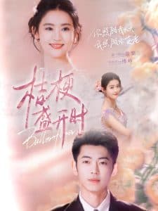 桔梗盛开时 - 女频恋爱 (2025) 海报