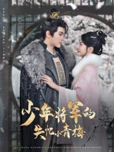 少年将军的失忆小青梅 - 古装仙侠 (2025) 海报
