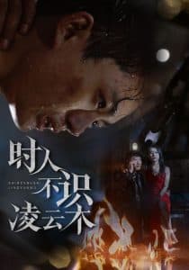 时人不识凌云木 - 现代都市 (2025) 海报