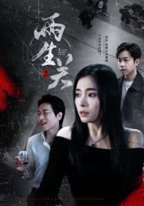 两生关 - 现代都市 (2025) 海报