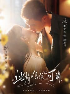 此情唯你可消 - 女频恋爱 (2025) 海报