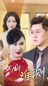 妻心难测 - 现代都市 (2025) 海报