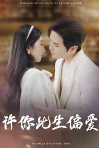 许你此生偏爱 - 女频恋爱 (2025) 海报