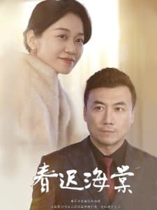 春迟海棠 - 现代都市 (2025) 海报