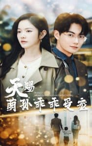 天赐萌孙乖乖受宠 - 现代都市 (2025) 海报