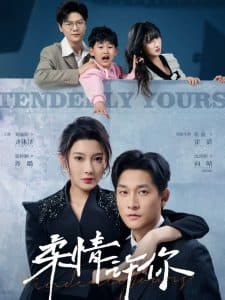 柔情许你 - 女频恋爱 (2025) 海报