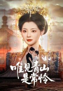 唯见青山是常怜 - 年代穿越 (2025) 海报