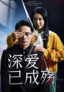 深爱已成殇 - 现代都市 (2025) 海报