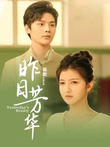 昨日芳华 - 现代都市 (2025) 海报