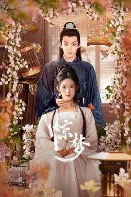 惊梦 - 国产剧 (2025) 海报