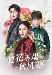 夏花不堪秋风寒 - 女频恋爱 (2025) 海报