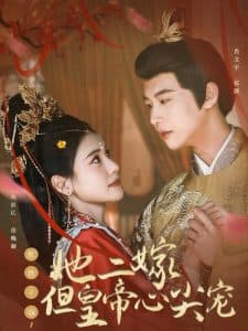 惹她干嘛，她二嫁但皇帝心尖宠 - 古装仙侠 (2025) 海报