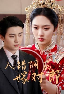 入错洞房嫁对郎 - 现代都市 (2025) 海报