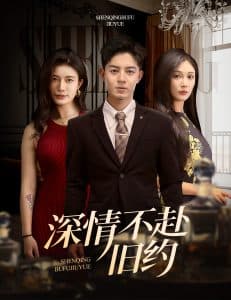 深情不赴旧约 - 女频恋爱 (2025) 海报