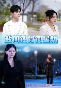 盐风蚀骨饲星轨 - 现代都市 (2025) 海报