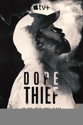 毒窃之徒 - 欧美剧 (2025) 海报