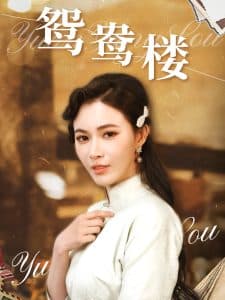 鸳鸯楼 - 年代穿越 (2025) 海报