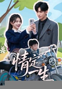 情定一生 - 女频恋爱 (2025) 海报