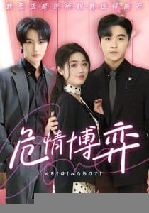 危情博弈 - 女频恋爱 (2025) 海报