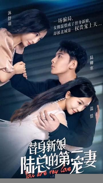 替嫁新娘陆总的第一宠妻 - 女频恋爱 (2025) 海报
