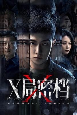 X局密档 - 国产剧 (2025) 海报