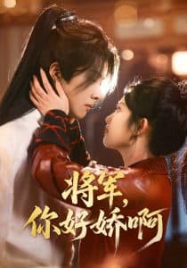 将军，你好娇啊 - 年代穿越 (2025) 海报