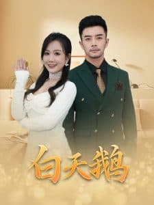 白天鹅 - 现代都市 (2025) 海报