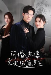 闪婚老婆竟是国画女王 - 女频恋爱 (2025) 海报