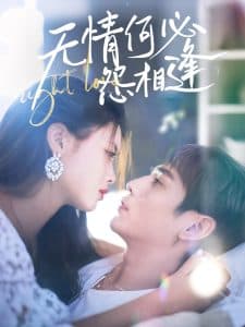 无情何必怨相逢 - 女频恋爱 (2025) 海报