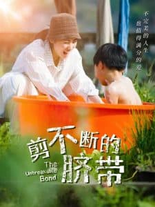 剪不断的脐带 - 现代都市 (2025) 海报