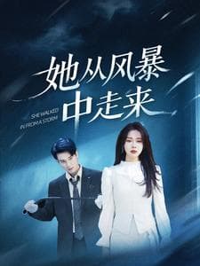 她从风暴中走来 - 现代都市 (2025) 海报