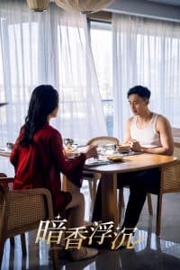 暗香浮沉 - 现代都市 (2025) 海报