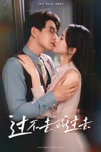 过不去的过去我用血肉去爱你 - 女频恋爱 (2025) 海报