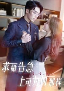 求婚告急上司为何那样 - 女频恋爱 (2025) 海报