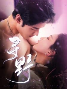 寻野 - 女频恋爱 (2025) 海报