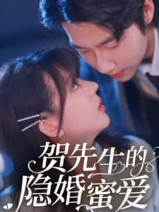 贺先生的隐婚蜜爱 - 女频恋爱 (2025) 海报