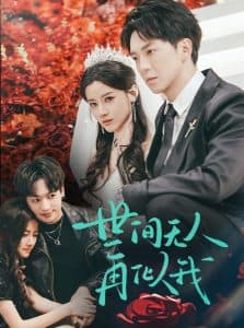 世间无人再似我 - 现代都市 (2025) 海报