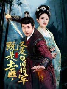 既是土匪，又是镇国将军 - 古装仙侠 (2025) 海报