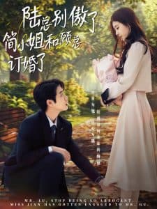 陆总别傲了，简小姐和顾总订婚了 - 女频恋爱 (2025) 海报