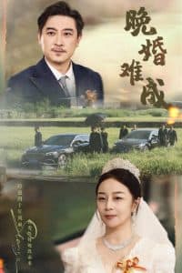 晚婚难成 - 现代都市 (2025) 海报