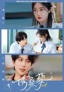 诱桑藜 - 女频恋爱 (2025) 海报