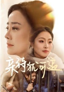 亲待犹可追 - 现代都市 (2025) 海报