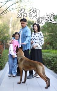 养狗应有道 - 现代都市 (2025) 海报