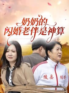 奶奶的闪婚老伴是神算 - 现代都市 (2025) 海报