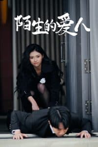 陌生的爱人 - 现代都市 (2025) 海报