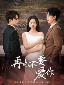 再也不要爱你 - 女频恋爱 (2025) 海报