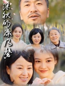 深秋的康乃馨 - 现代都市 (2025) 海报