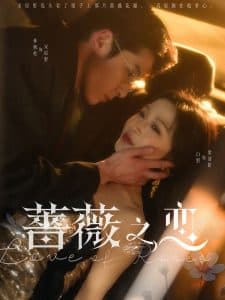 蔷薇之恋 - 女频恋爱 (2025) 海报